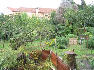 Verwilderter Nutzgarten auf Giudecca