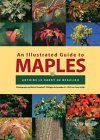 Illustrated Guide to Maples